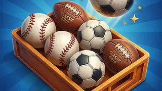 Play Ball Sort Master 3D
