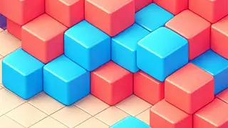 Play Blocks and Car
