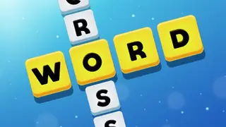 Play Crossword Puzzle