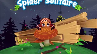 Play Spider Solitaire 3D